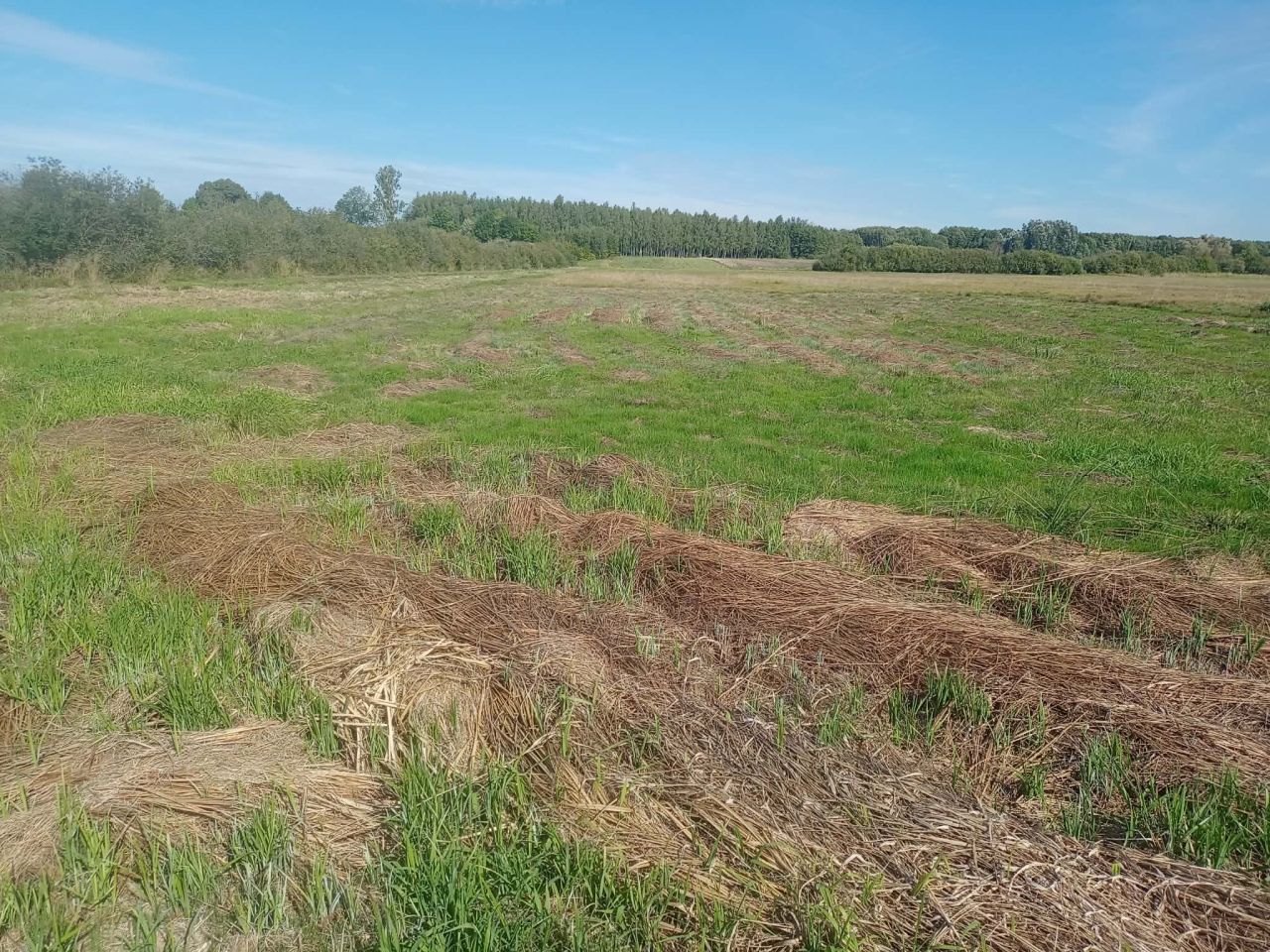 Działka na sprzedaż bez pośredników
Holendernia
Łukówek