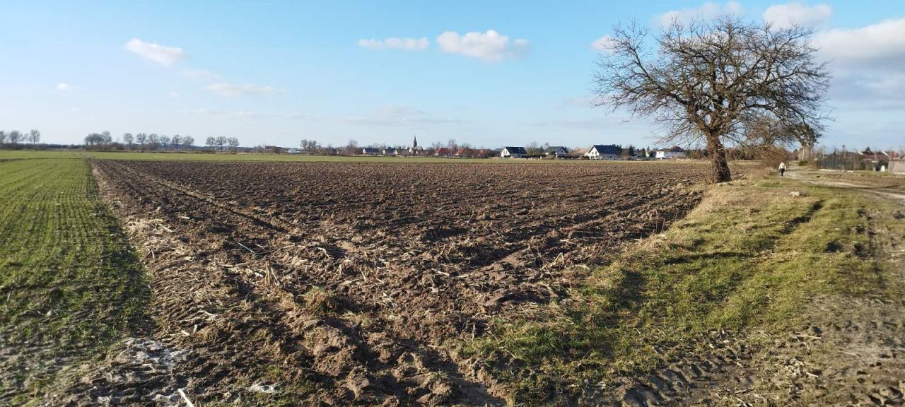 Działka inwestycyjna Wojnowice, ul. Akacjowa. Zdjęcie 4