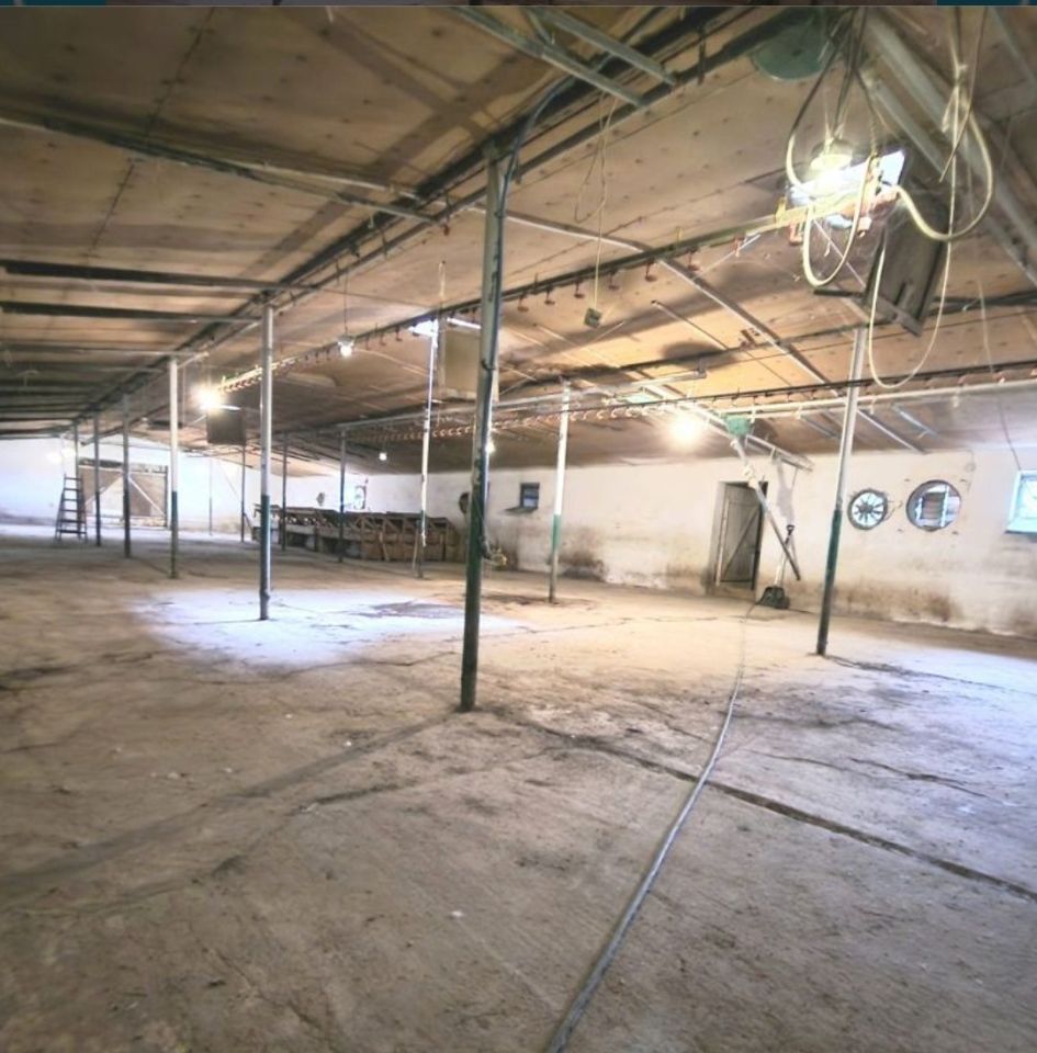 Hala/magazyn Prochowice. Zdjęcie 7