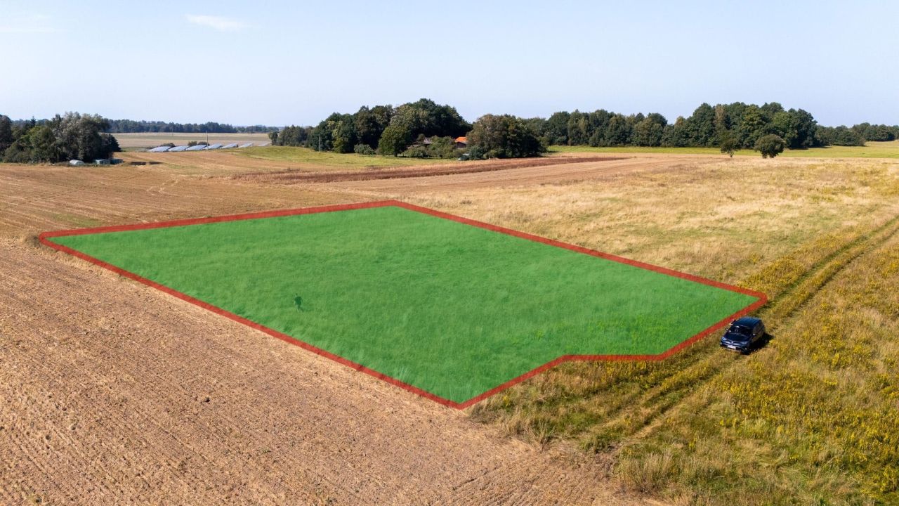 Działka siedliskowa Czernin. Zdjęcie 7