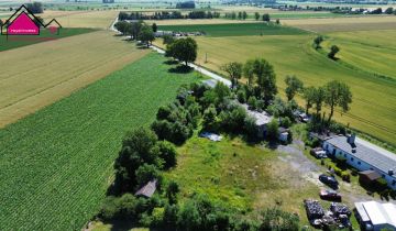 Lokal Strzelno Klasztorne