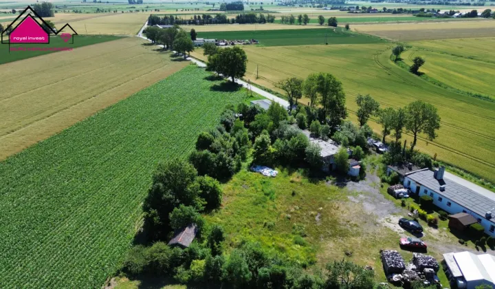 Lokal Strzelno Klasztorne