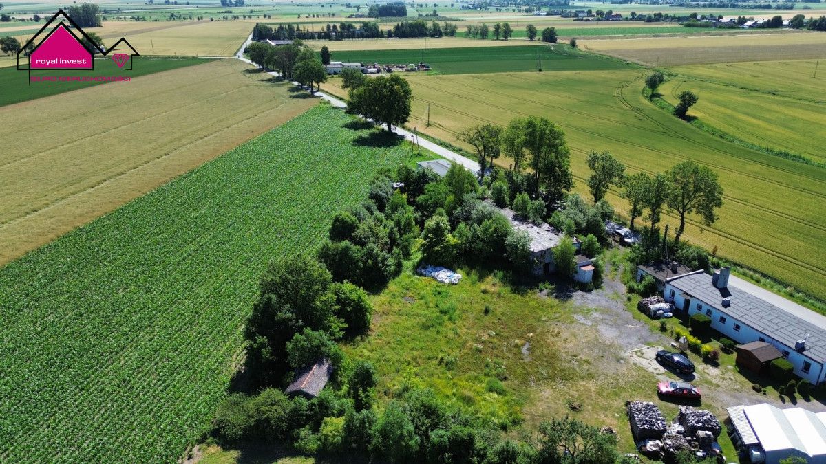 Lokal Strzelno Klasztorne. Zdjęcie 4