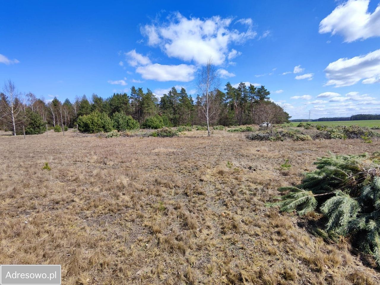 Działka Żeleźnia. Zdjęcie 7