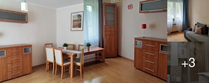 Mieszkanie 2-pokojowe Ruda Śląska Halemba, ul. Międzyblokowa