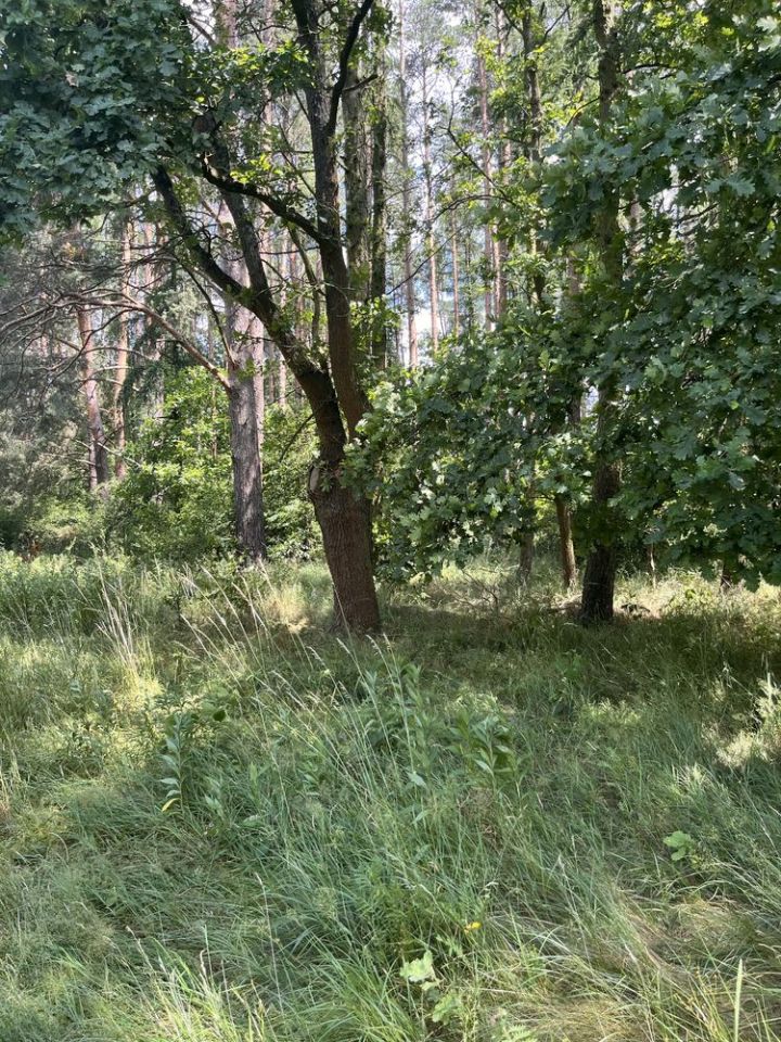 Działka rolno-budowlana Pęgów, ul. Na Polance