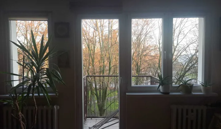 Mieszkanie 2-pokojowe Szczytno