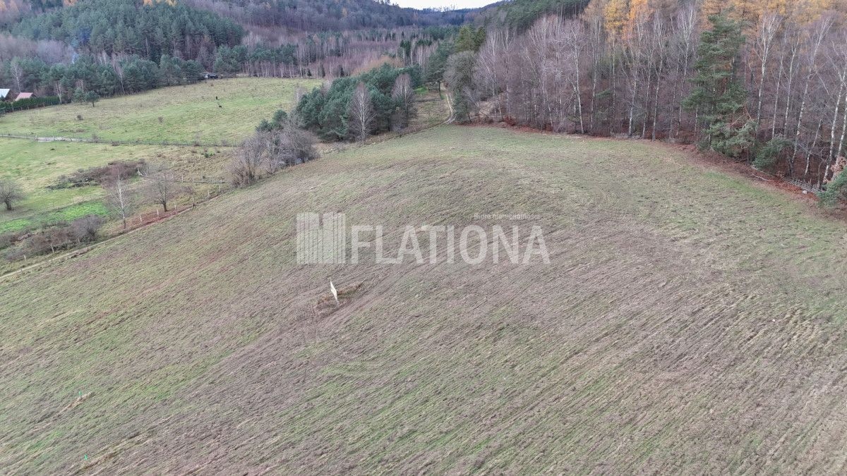 Działka rolna Paraszyno. Zdjęcie 7