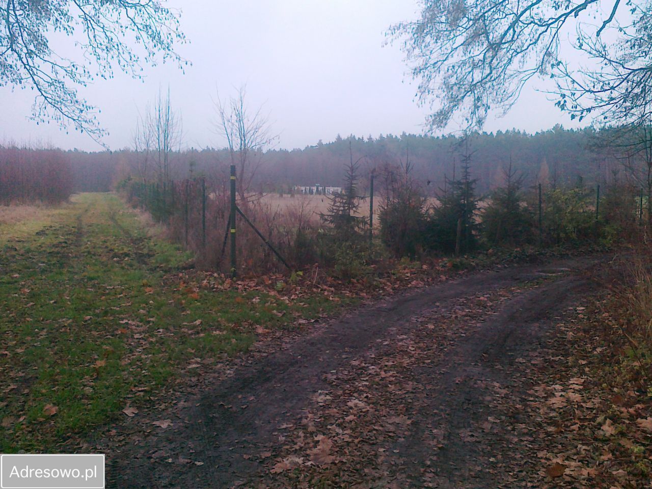 Działka rolna Chrzypsko Małe. Zdjęcie 15