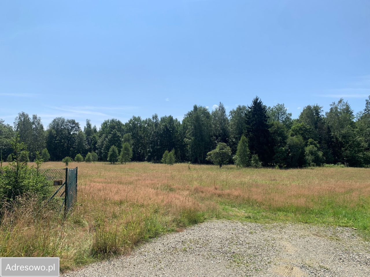 Działka budowlana Studzienno. Zdjęcie 6
