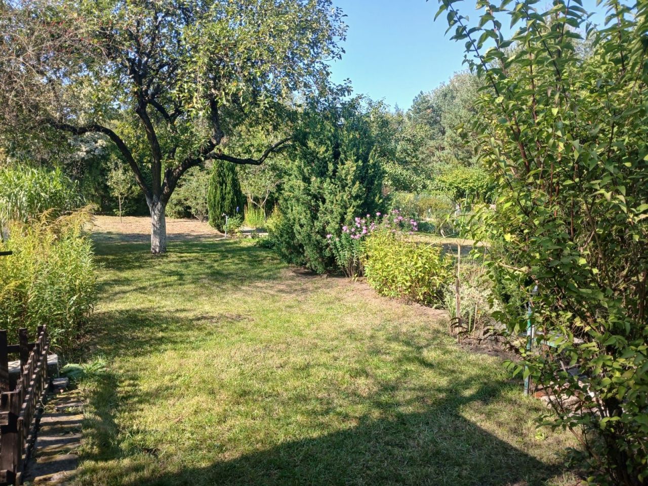 Działka rod Poznań Wilda, ul. Droga Dębińska. Zdjęcie 5