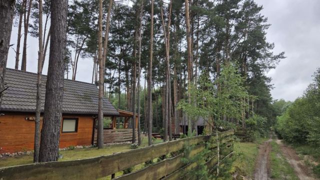 Działka rekreacyjna Królewo. Zdjęcie 5