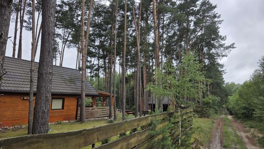 Działka rekreacyjna Królewo. Zdjęcie 5