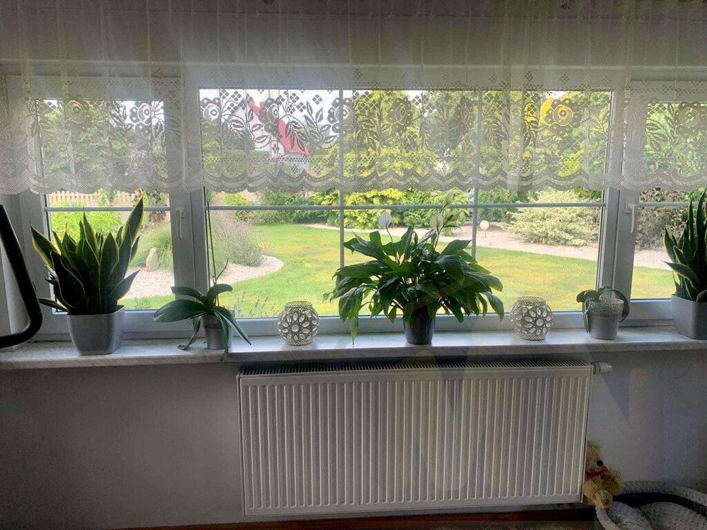 dom wolnostojący, 5 pokoi Leszno Gronowo. Zdjęcie 5