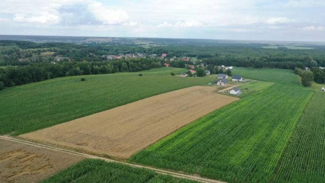 Działka budowlana Pniewo, ul. Szkolna. Zdjęcie 7