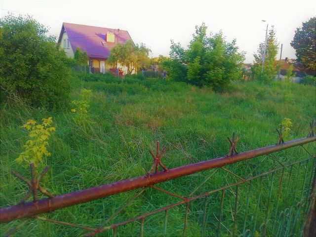 Działka budowlana Jeziórko Ustanówek, ul. Porankowa. Zdjęcie 1