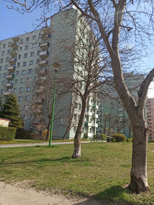 Mieszkanie 1-pokojowe Tczew, ul. Jedności Narodu. Zdjęcie 1