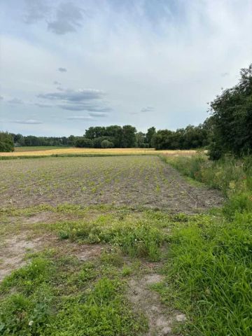 Działka budowlana Czaple. Zdjęcie 1