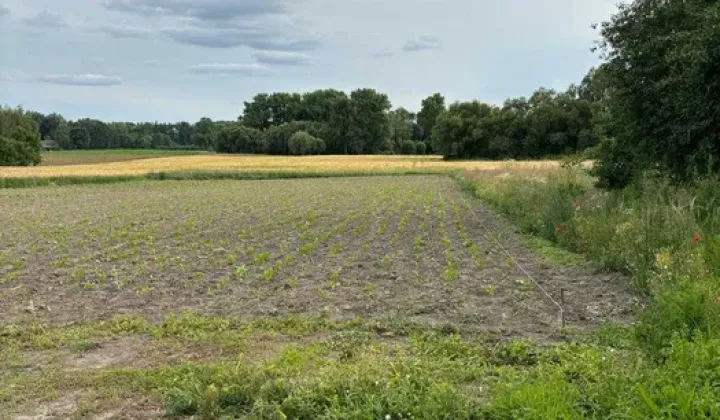 Działka budowlana Czaple