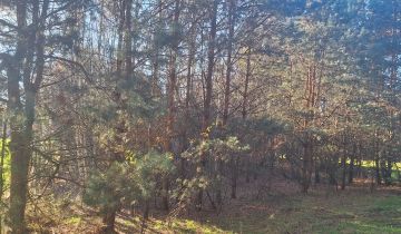 Działka leśna Zawady