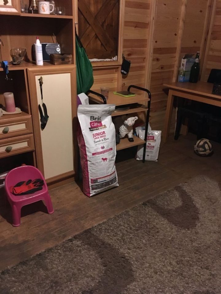 Działka rod Piotrków Kujawski. Zdjęcie 6