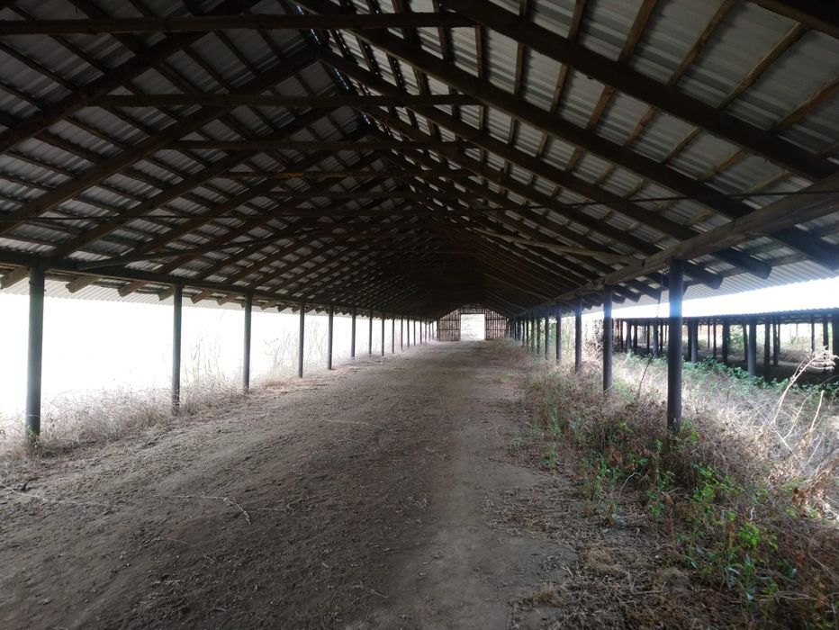 Działka inwestycyjna Bożydar. Zdjęcie 2