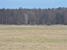 Działka rolna Kąck, ul. Malownicza. Zdjęcie 3