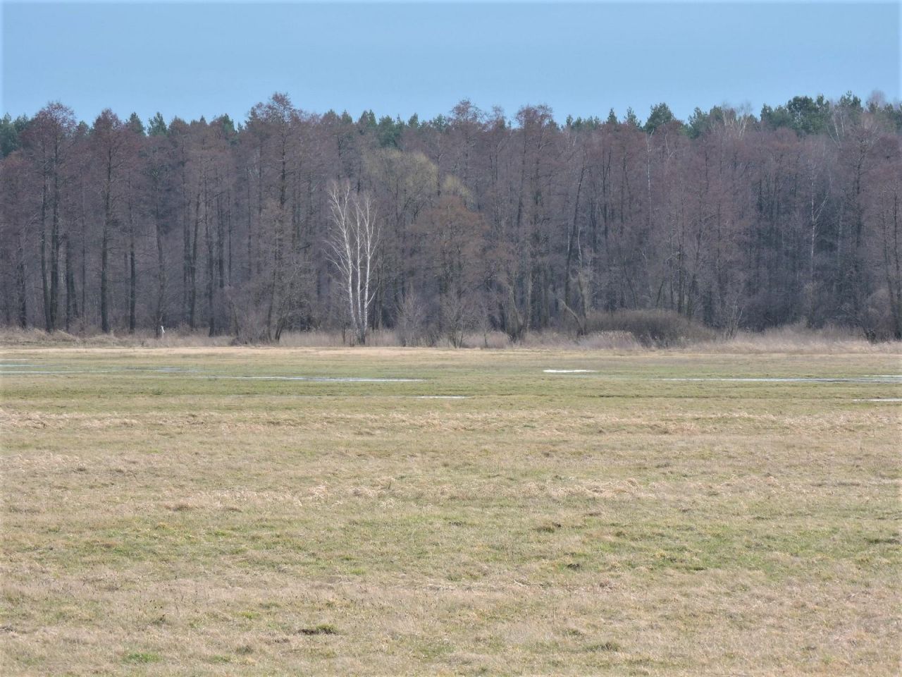 Działka rolna Kąck, ul. Malownicza. Zdjęcie 4