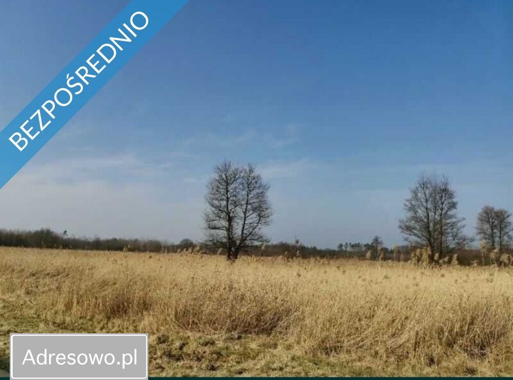 Działka inwestycyjna Brzesko, ul. Leśna. Zdjęcie 3