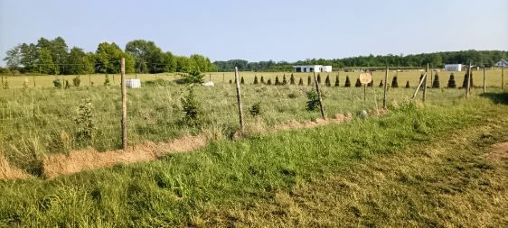 Działka budowlana Kruszyn. Zdjęcie 4