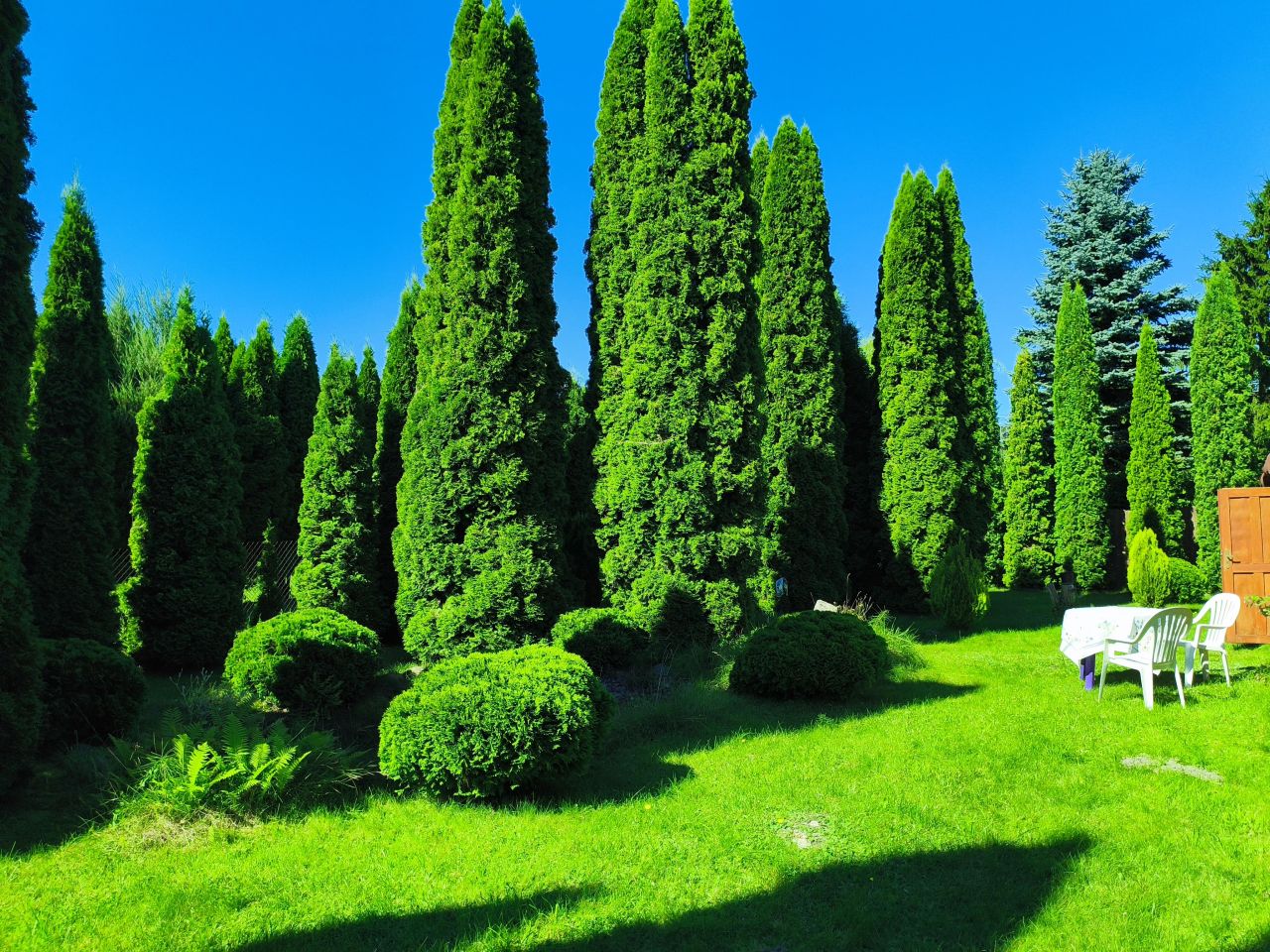 Działka rod Iława, ul. Juliusza Słowackiego. Zdjęcie 4