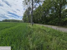 Działka rolno-budowlana Góra. Zdjęcie 2