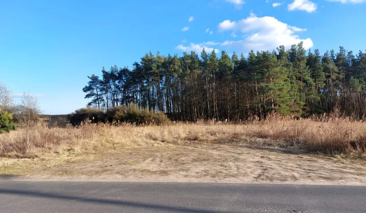 Działka budowlana Skoki, ul. Rakojedzka