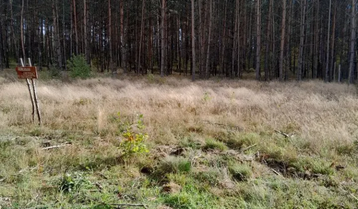 Działka budowlana Kaniów