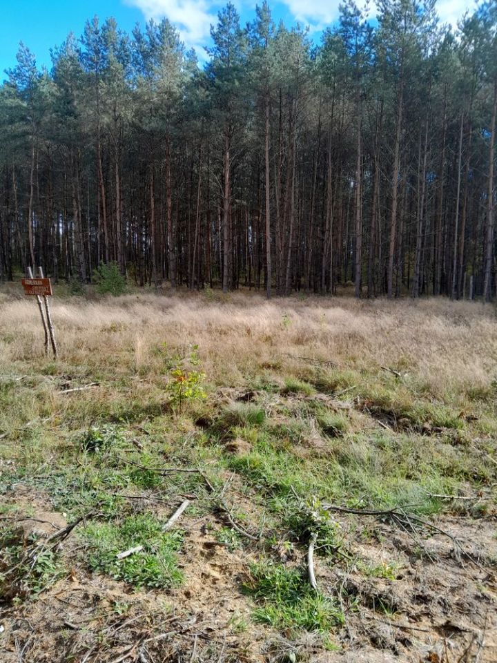Działka budowlana Kaniów. Zdjęcie 1