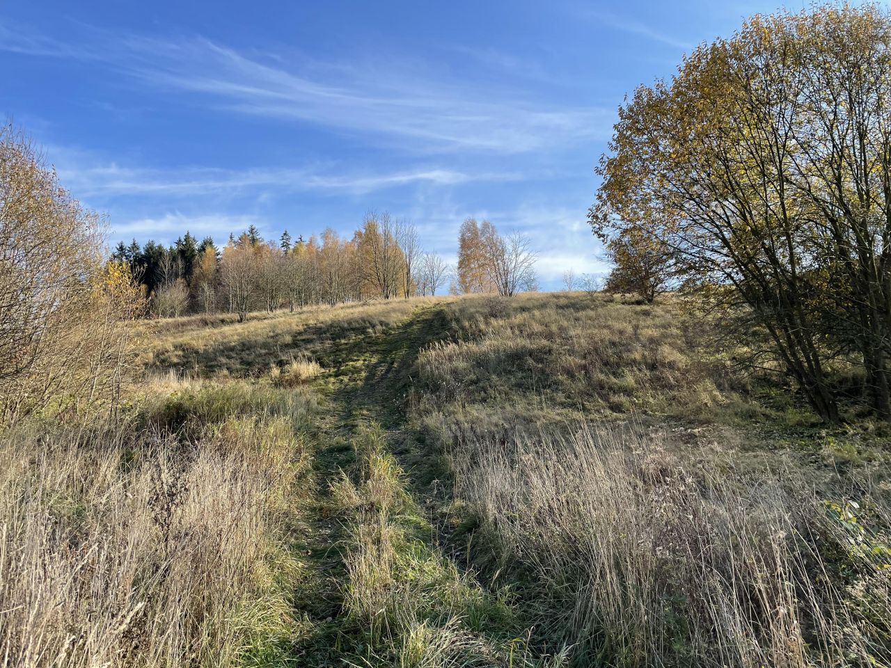Działka siedliskowa Ptaszków. Zdjęcie 10