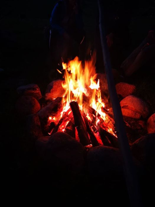 Działka rod Gdańsk Morena, ul. Wołkowyska. Zdjęcie 8