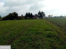 Działka siedliskowa Piotrowice Kolonia. Zdjęcie 2