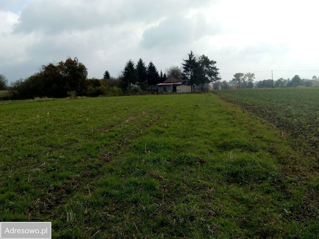 Działka siedliskowa Piotrowice Kolonia. Zdjęcie 3