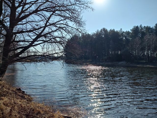 Działka rolno-budowlana Długie Grodzieckie Nad Jeziorem. Zdjęcie 1