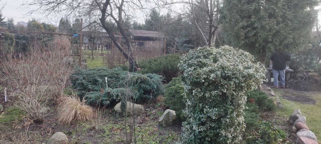 Działka rod Bełchatów, ul. Czapliniecka. Zdjęcie 6