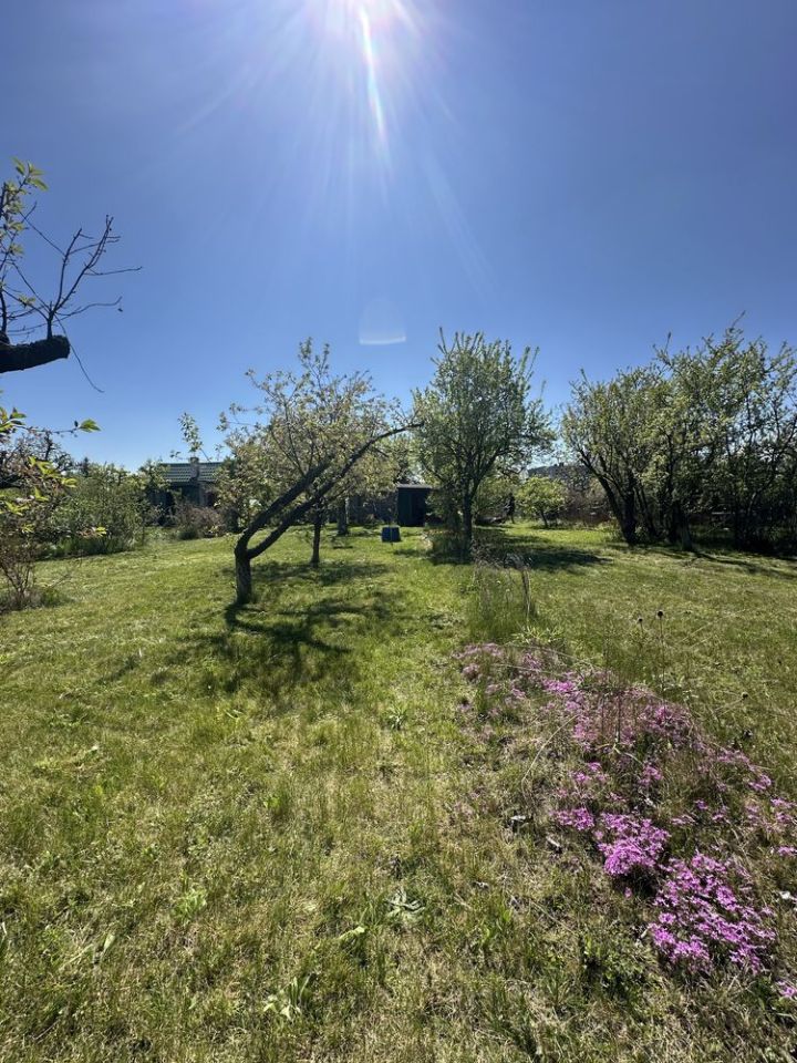 Działka rod Mogilno. Zdjęcie 4