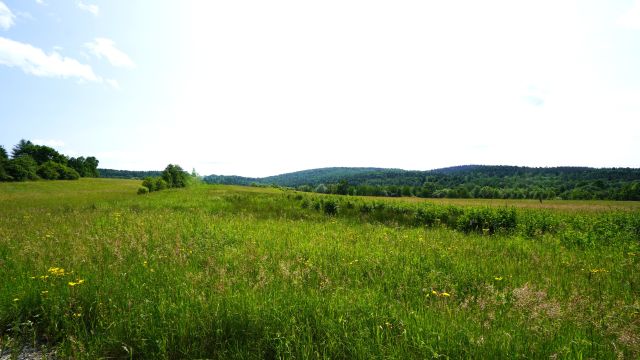 dom wolnostojący, 5 pokoi Wapienne. Zdjęcie 10