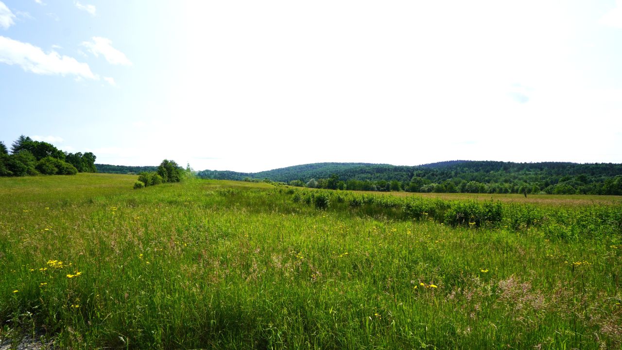 dom wolnostojący, 5 pokoi Wapienne. Zdjęcie 10