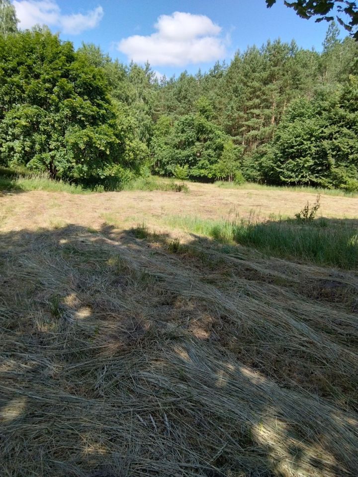 Działka budowlana Wiewiórki. Zdjęcie 6