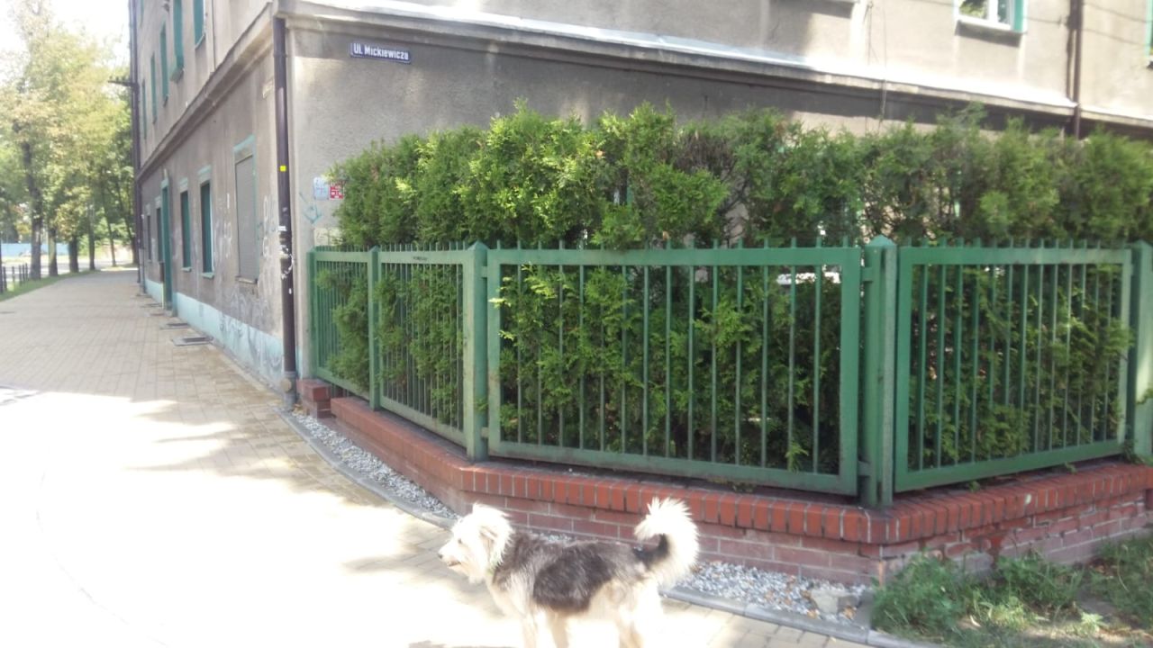 Mieszkanie 4-pokojowe Gliwice Wójtowa Wieś, ul. Adama Mickiewicza. Zdjęcie 4