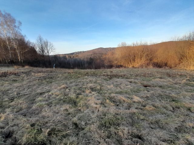 Działka rolna Ruda Kameralna. Zdjęcie 1