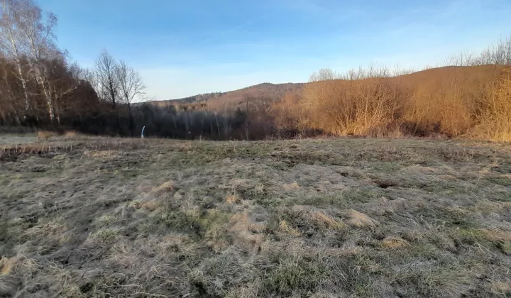 Działka rolna Ruda Kameralna