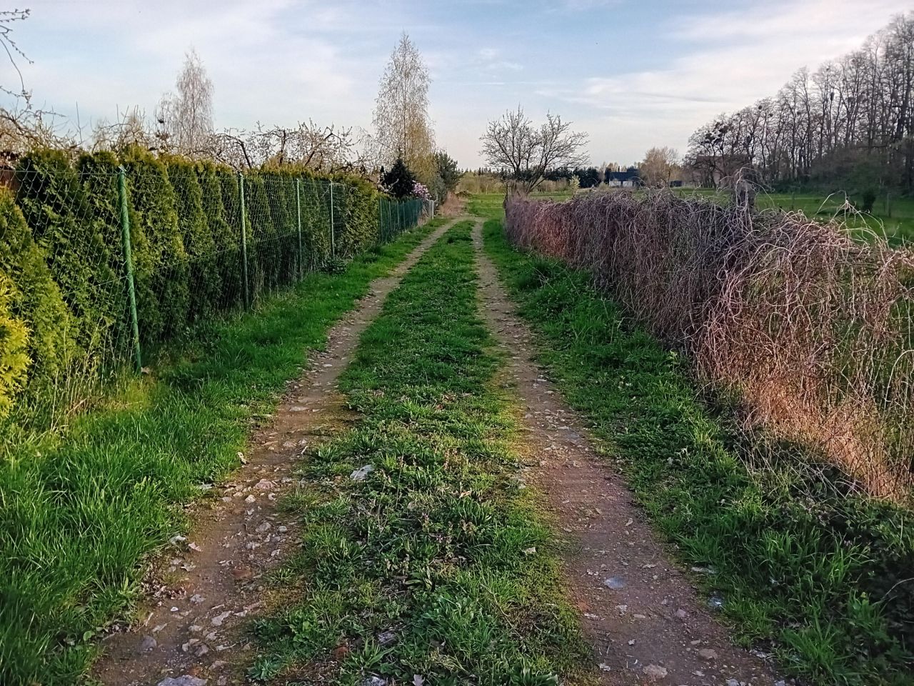 Działka budowlana Binowo. Zdjęcie 6