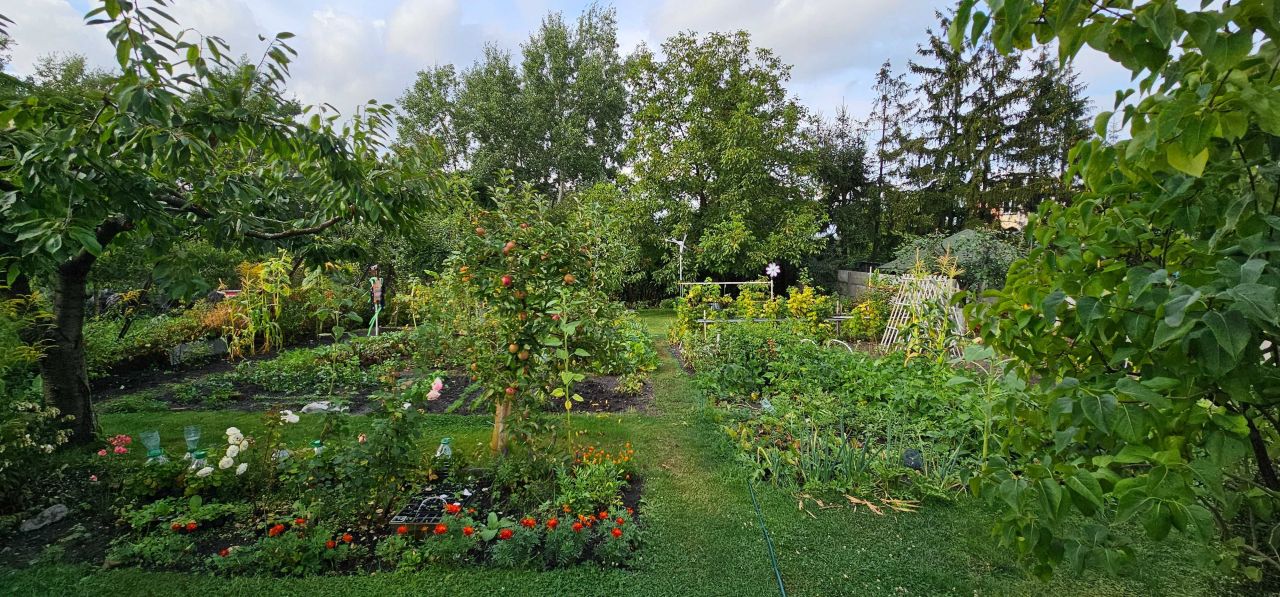 kamienica Kcynia. Zdjęcie 4